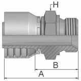 Parker Male BSP Parallel Pipe - Rigid - (60° Cone) Straight - 1D948-12-12 - Parker Store Nigeria